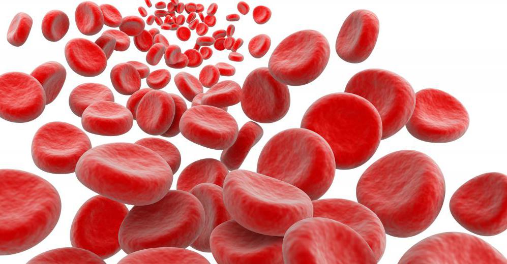 Hämoglobins im menschlichen Körper