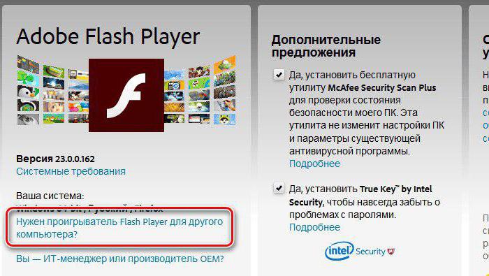Adobe Flash Plugin stürzt ab