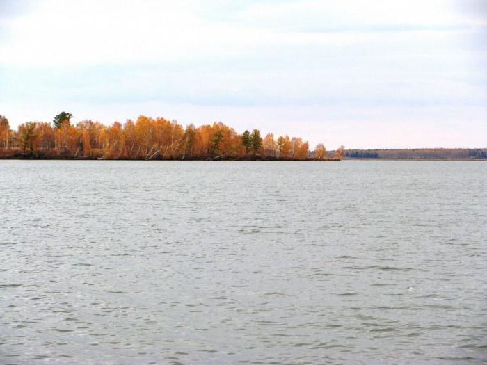 Berchikul - ein See in der Region Kemerowo. Beschreibung und einzigartige Eigenschaften des Teiches, Foto