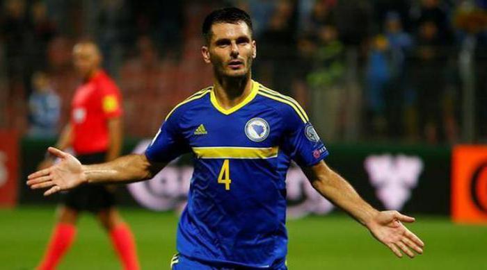 Emir Spahic: Karriere eines bosnischen Fußballspielers