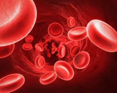 Was ist die Norm von Hämoglobin im Blut von Männern und Frauen?